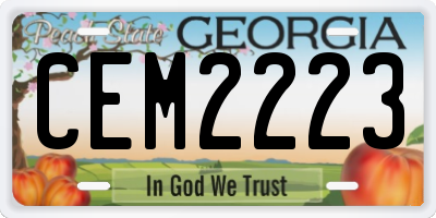 GA license plate CEM2223