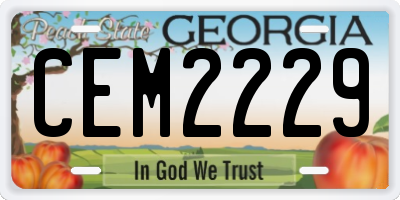 GA license plate CEM2229