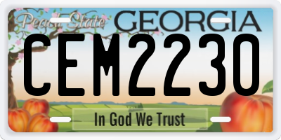 GA license plate CEM2230
