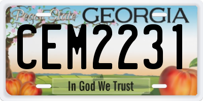 GA license plate CEM2231