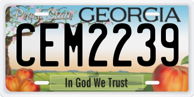 GA license plate CEM2239