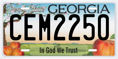 GA license plate CEM2250