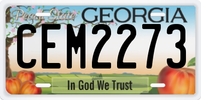 GA license plate CEM2273