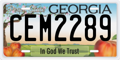 GA license plate CEM2289