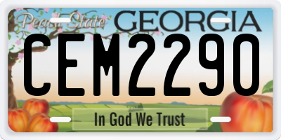 GA license plate CEM2290