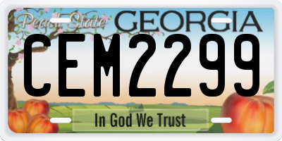 GA license plate CEM2299