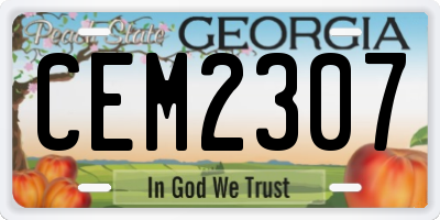 GA license plate CEM2307
