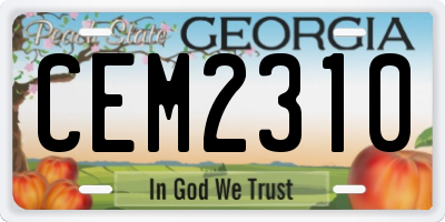 GA license plate CEM2310