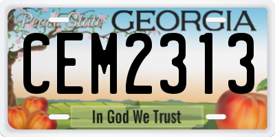 GA license plate CEM2313