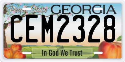GA license plate CEM2328