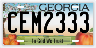 GA license plate CEM2333
