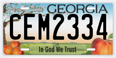 GA license plate CEM2334