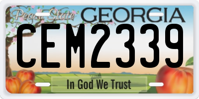 GA license plate CEM2339