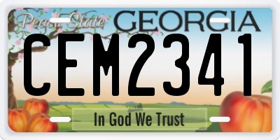 GA license plate CEM2341