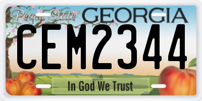 GA license plate CEM2344
