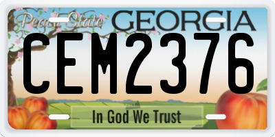 GA license plate CEM2376