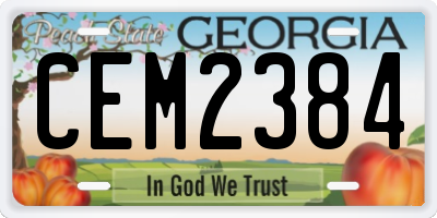 GA license plate CEM2384