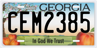 GA license plate CEM2385