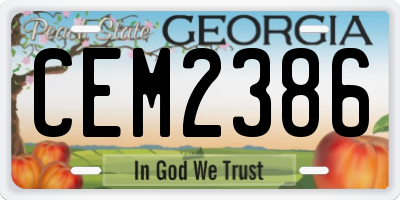GA license plate CEM2386