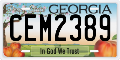 GA license plate CEM2389