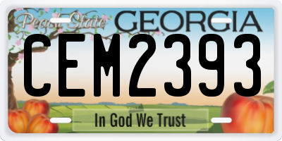 GA license plate CEM2393
