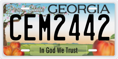GA license plate CEM2442