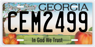 GA license plate CEM2499
