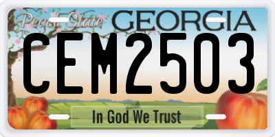 GA license plate CEM2503