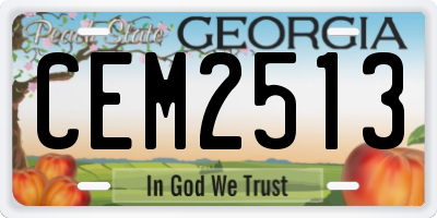 GA license plate CEM2513