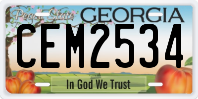 GA license plate CEM2534