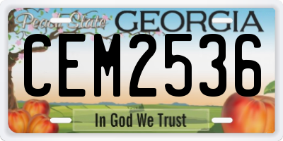 GA license plate CEM2536