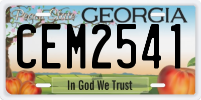 GA license plate CEM2541