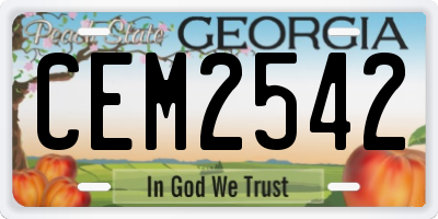 GA license plate CEM2542