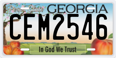 GA license plate CEM2546