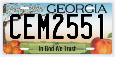 GA license plate CEM2551
