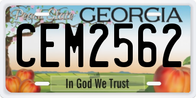 GA license plate CEM2562