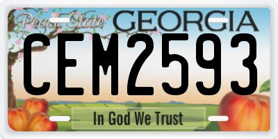 GA license plate CEM2593