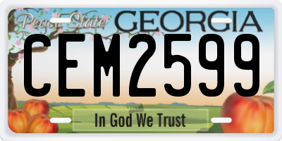 GA license plate CEM2599