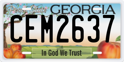 GA license plate CEM2637