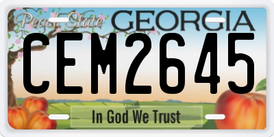 GA license plate CEM2645
