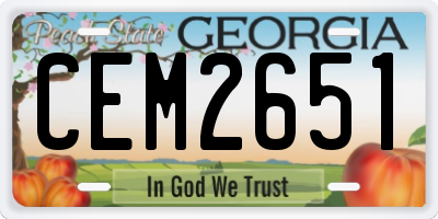 GA license plate CEM2651