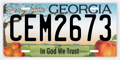 GA license plate CEM2673