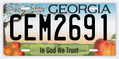 GA license plate CEM2691