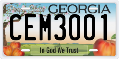 GA license plate CEM3001