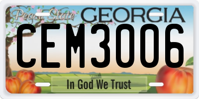 GA license plate CEM3006