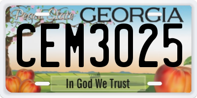 GA license plate CEM3025