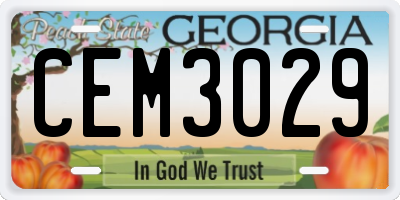 GA license plate CEM3029