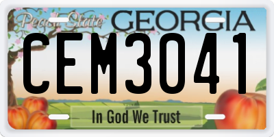 GA license plate CEM3041