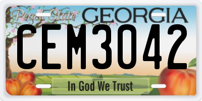 GA license plate CEM3042
