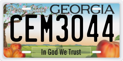 GA license plate CEM3044